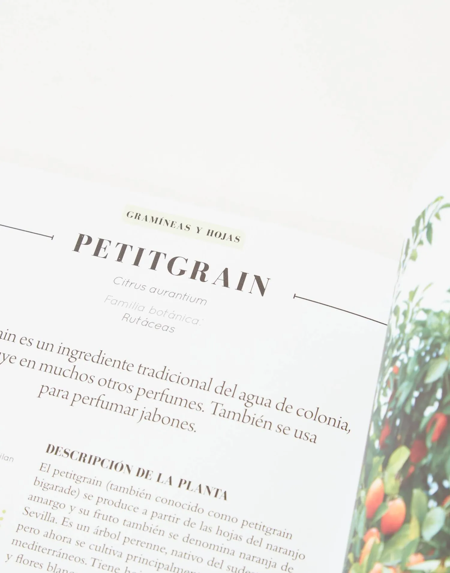 Natura Selection Aceites Esenciales