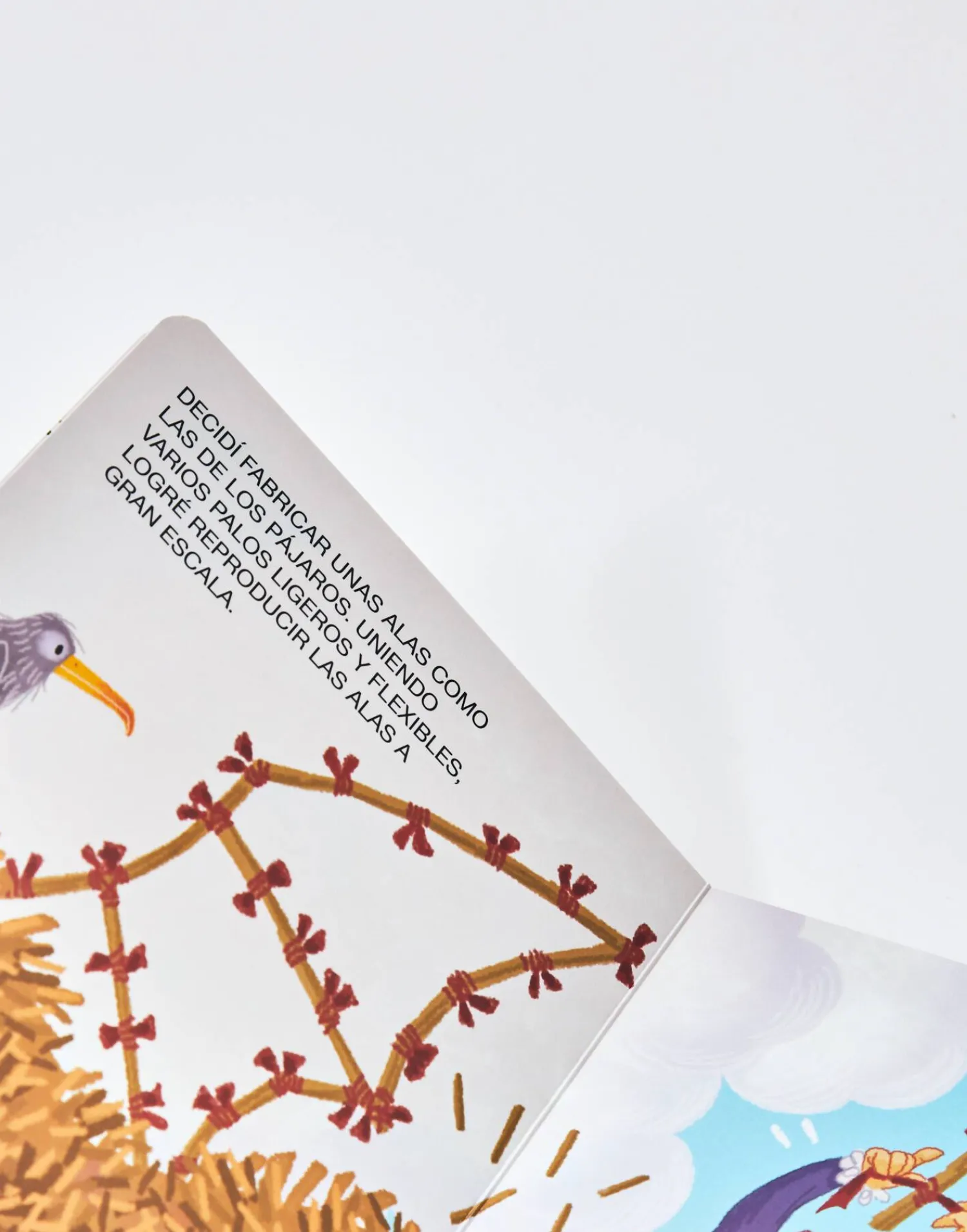 Natura Selection Mini Genios: Leonardo Da Vinci Outlet